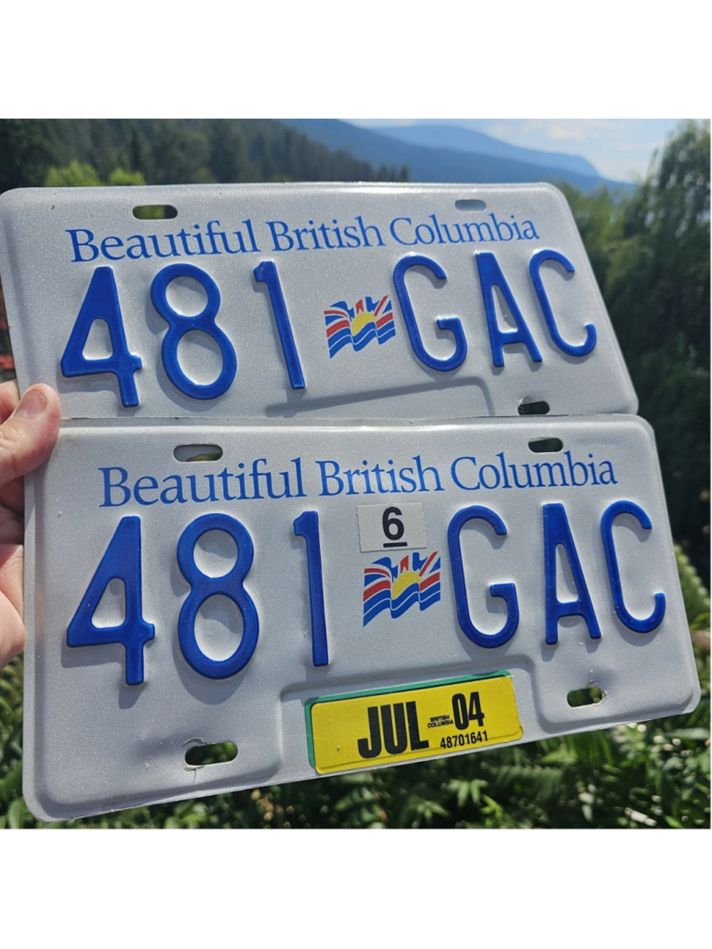 2004 British Columbia License Plate Pair 481 GAC Matching Set BC Canada